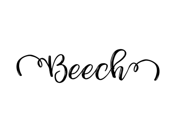 Beech Lettering: Monochrome Graphics for Print Templates